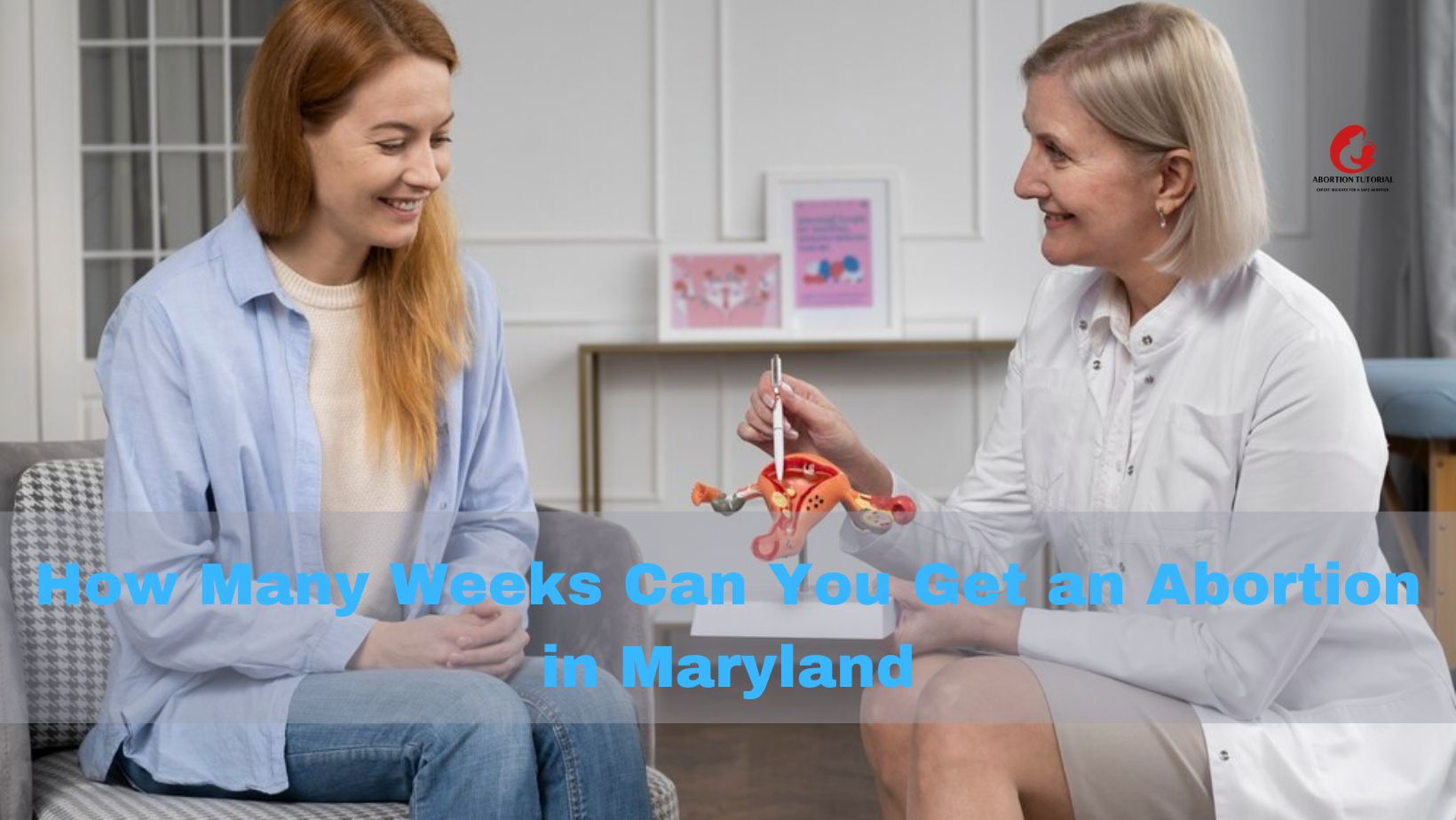 How Many Weeks Can You Get an Abortion in Maryland