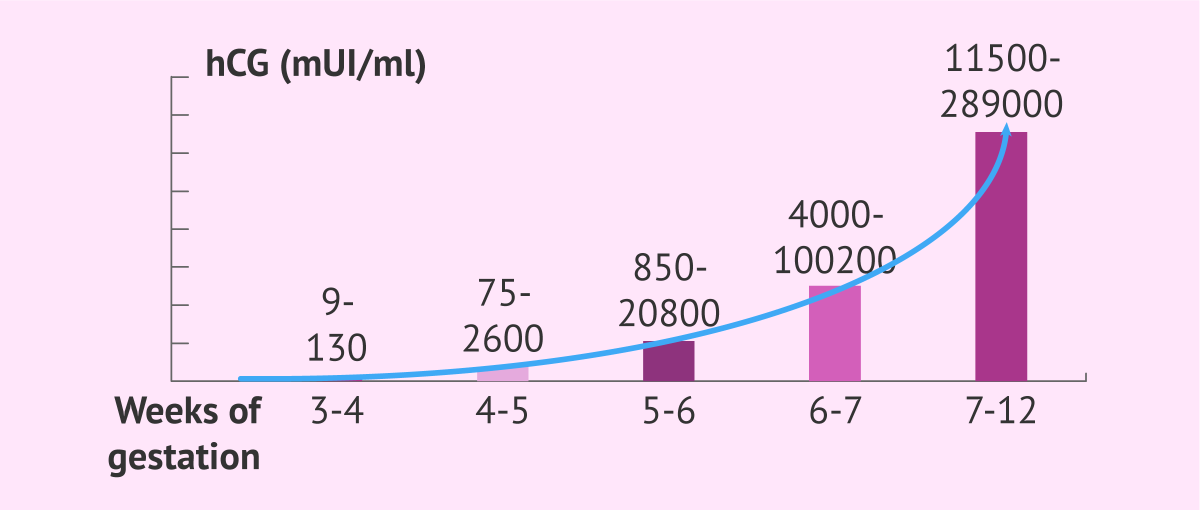 Hcg Levels After Abortion at 4 Weeks